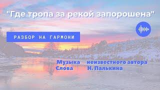 ГДЕ ТРОПА ЗА РЕКОЙ ЗАПОРОШЕНА || РАЗБОР НА ГАРМОНИ || НИКОЛАЙ ГОЛОВИНОВ || СЕМЕЙНАЯ МАСТЕРСКАЯ ВЕКША