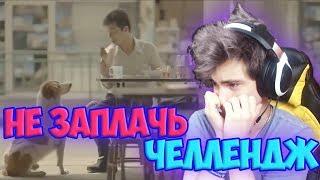 ПОПРОБУЙ НЕ ЗАПЛАКАТЬ ЧЕЛЛЕНДЖ | САМОЕ ГРУСТНОЕ ВИДЕО |НЕ ЗАПЛАЧЬ ЧЕЛЛЕНДЖ |TRY NOT TO CRY CHALLENGE