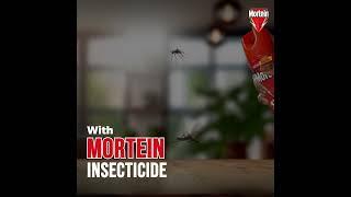 MORTEIN AEROSOL - PROTECTION FROM MOSQUITOES THIS RAINY SEASON