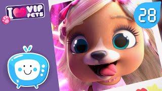  LOTS OF FUN! VIP PETS  FULL EPISODES  CARTOONS and VIDEOS for KIDS in ENGLISH