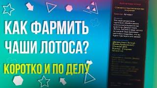 Как фармить Чаши Лотоса [New Dragon Nest]