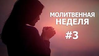 Молитвенная неделя. День 3. "Нет книги, подобной этой" 23.12.2024