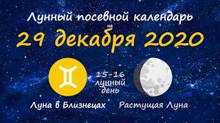 [29 декабря 2020] Лунный посевной календарь огородника-садовода | Флористикс Инфо