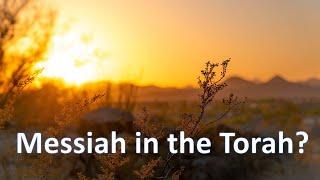 Messiah in the Torah?