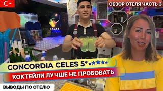 Обзор отеля Concordia Celes 5*. Часть 3: чем заняться вечером и выводы по отелю. Отдых в Турции