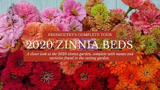 ZINNIAS: FULL TOUR // What Zinnias Are You Growing This Year? Flower Harvest- Benary's Giant Zinnias