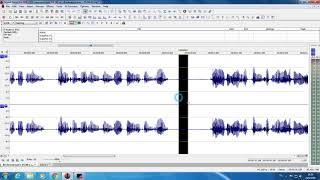 การตัดตแต่งเสียงด้วย โปรแกรม Sound Forge