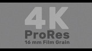 Free ProRes UHD / 4K Film Grain Overlay Downloads  – 16mm