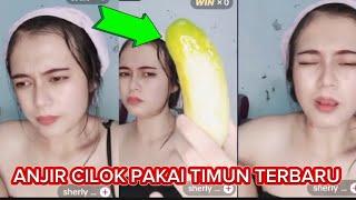 SANGBRUT 5 ‼️TERBARU LAGI SHERLI CILOK PAKAI TIMUN #tiktokviral #tiktoklive