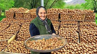 This Village Grows Tons of Walnuts! Making Lots of Organic Walnut Jam!