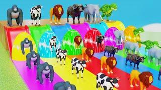 Paint and animals gorilla, Elephant, Duck Cartoon, Lion, Cow Fountain Crossing Wild Animals Game