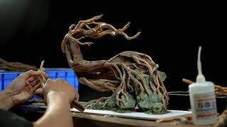 DIORAMA AQUASCAPE- BRAND STORY