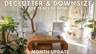 I Spent 6 Months Downsizing Plants & Stuff | Plant Mail + Purge