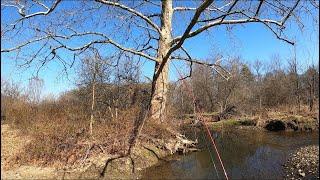 Trout Fishing The Most EPIC Day Ever (Part 1) 2021 #fishing #trout #fish