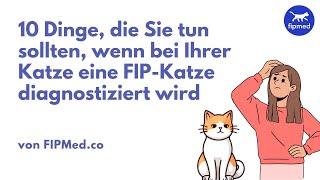 10 Dinge, die Sie tun sollten, wenn bei Ihrer Katze eine FIP Katze diagnostiziert wird