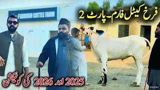 Farrukh Cattle Farm Part 2 - 2025 or 2025 Fatehjangi Collection - Qurbani 2025