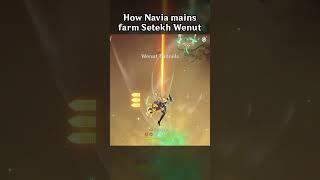 HOW NAVIA MAINS FARM SETEKH WENUT