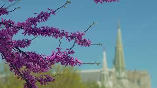 Creighton University Campus Walk – Spring 2019