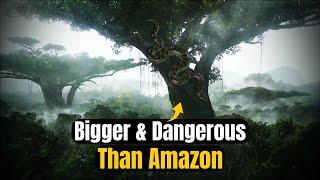 This Jungle is Bigger & Dangerous than Amazon | Muz Studio