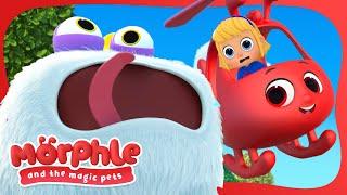 Morphle and his Magic Pet Friend Gobblefrog! | Full Episodes | Morphle and the Magic Pets