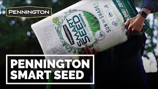 Grass Seed for Lawn Care | Pennington Smart Seed - Real Intelligent Turf