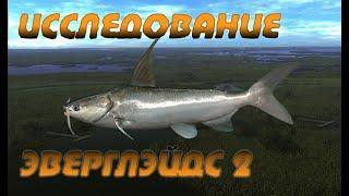 Fishing Planet PS4 # Исследование Эверглэйдс 2 / Флорида