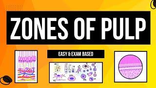 Zones of Pulp | Histology of Pulp | Cells of Pulp | Dental lectures