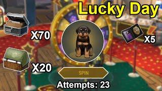 Lucky Day In LDOE / Get New DOG / Open 70 Mercenaries Pack / #lastdayonearth #LDOE