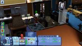 The Sims 3 Lag Fix 30FPS lock