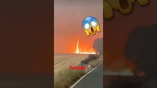 Tornado fire tornado #firetornado #earthquake #accidentnews