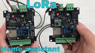 ESP32 LoRa board use in home assistant by mqtt auto discovery - ALR