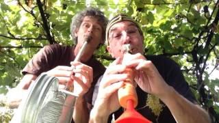 Watering can & double carrot clarinet. Alexandre Cellier. Linsey Pollak