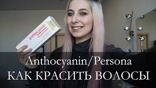 #54 Все о красителях Антоцианин/персона + КОНКУРС!