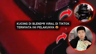 KUCING DI BLEND*R VIRAL DI TIKTOK!