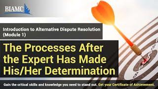The Processes After the Expert Has Made His/Her Determination