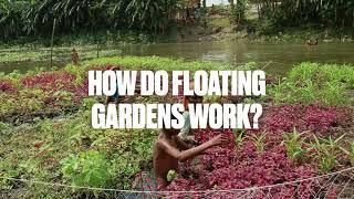 How do floating gardens work?