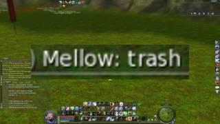 !Aion Templar [KOR] Gaide how to hate [TOP CHANTER MELLOW EDITION] + Bonus