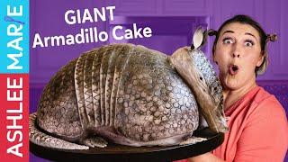 Steel Magnolias Armadillo Cake Decorating Tutorial