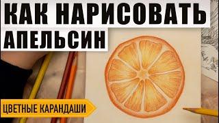 Как нарисовать апельсин поэтапно карандашами | Обучающий видео урок по рисованию для начинающих.