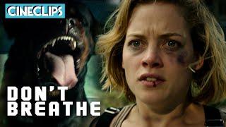 Chased By A Rottweiler | Don't Breathe | CineStream