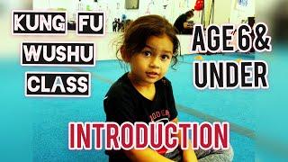 age 6  under kung fu wushu class introduction / las vegas modern kung fu