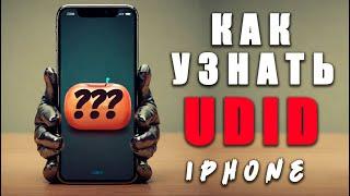 Купить сертификат скарлет | Как узнать UDID iPhone