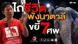 ไถ่ชีวิต...พังนาตาลีขยี้7ศพ!  คืนพุธสุดหลอน EP18 #เรื่องเล่า