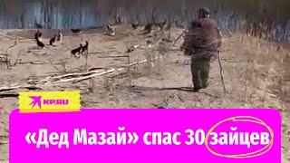 «Якутский дед Мазай» спас 30 зайцев с утопающего острова