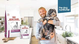 Royal Canin Renal (Kidney) Dog Food Review - The Dog Nutritionist