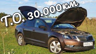 Skoda Octavia A7 - Т.О-2 | Замена всех фильтров (жесть) | РАСХОД МАСЛА | Масла нужно все меньше 