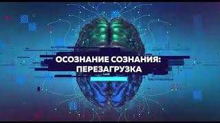 ОСОЗНАНИЕ СОЗНАНИЯ | Травмы детства: как стресс влияет на психику человека