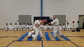 Sensei Seth - Aikido Levels 1-5 - Satori Dojo Black Belt