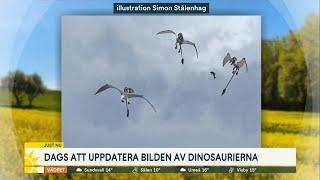 Jätteliten för-dinosaurie hittad: ”10-12 centimeter hög” - Nyhetsmorgon (TV4)