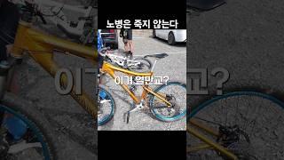 고인 물 형님들만 알고 있는 명품 자전거 #자전거 #mtb #라이딩